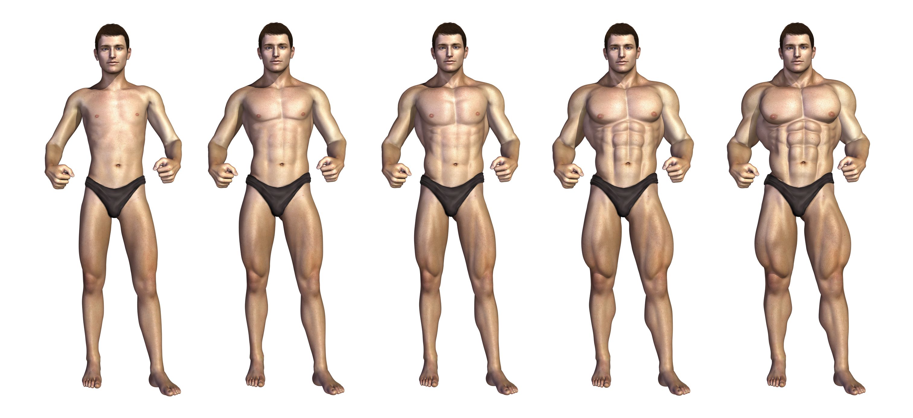 5 этап мужчины. Эктоморф качок. Атлет эктоморф. Спортивное мужское тело. Мужчины разной комплекции.