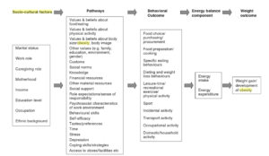 sociaalculturel-factoren-en-obesitas