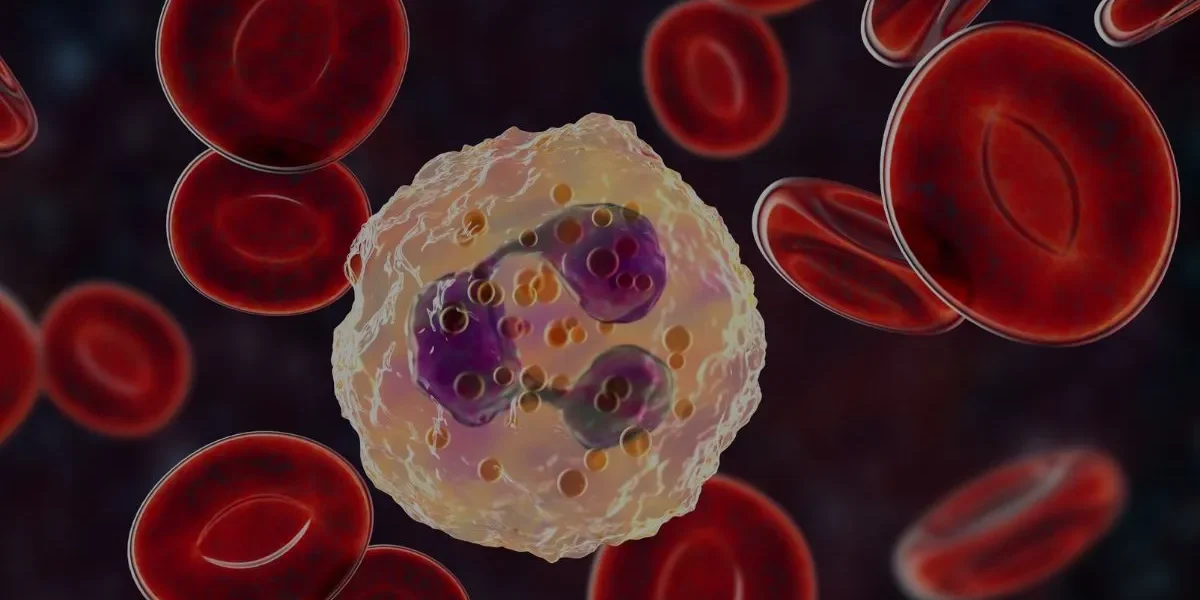 Obesitas en vatbaarheid voor ziektes obesitas en vatbaarheid voor ziektes