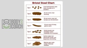 Bristolschaal-en-stoelgang