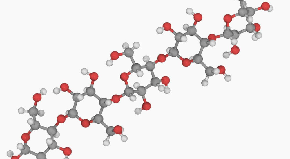 Polysacharide en koolhydraten Polysacharide-en-koolhydraten