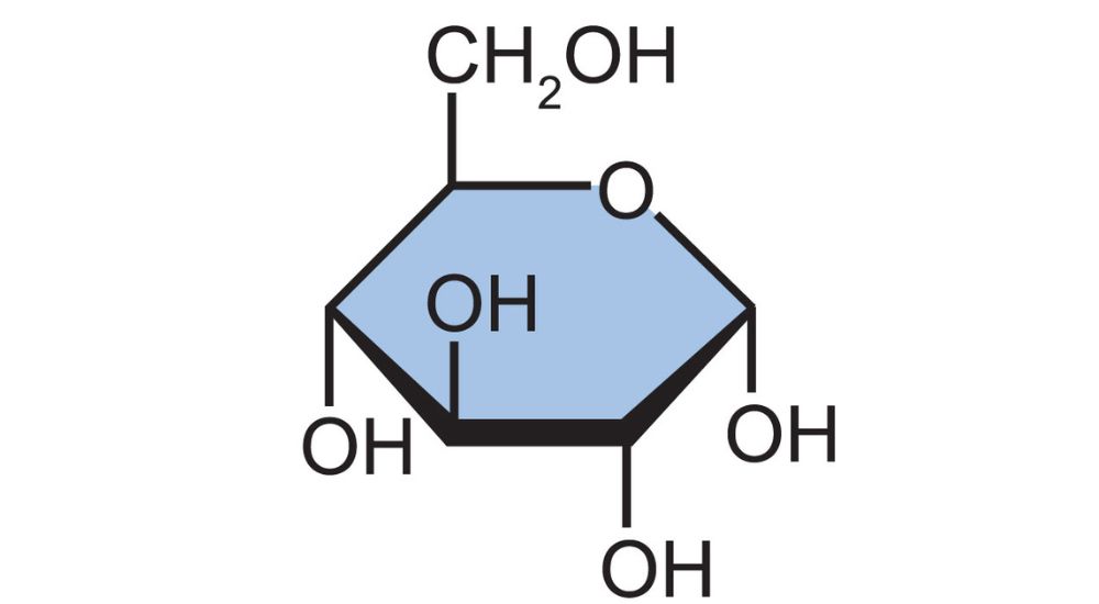 monosacharide en handleiding koolhydraten monosacharide-en-handleiding-koolhydraten