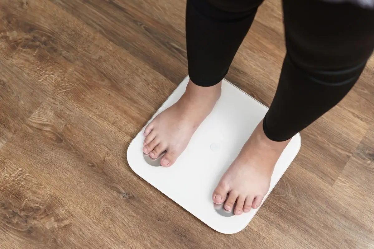 wat zegt het lichaamsgewicht eigenlijk